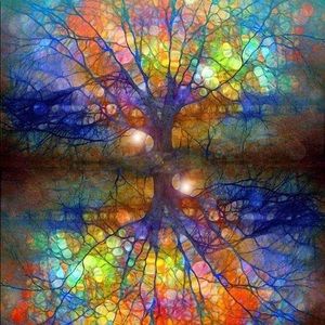 Meet your Posher, Robyn